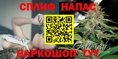 mdpv Будённовск