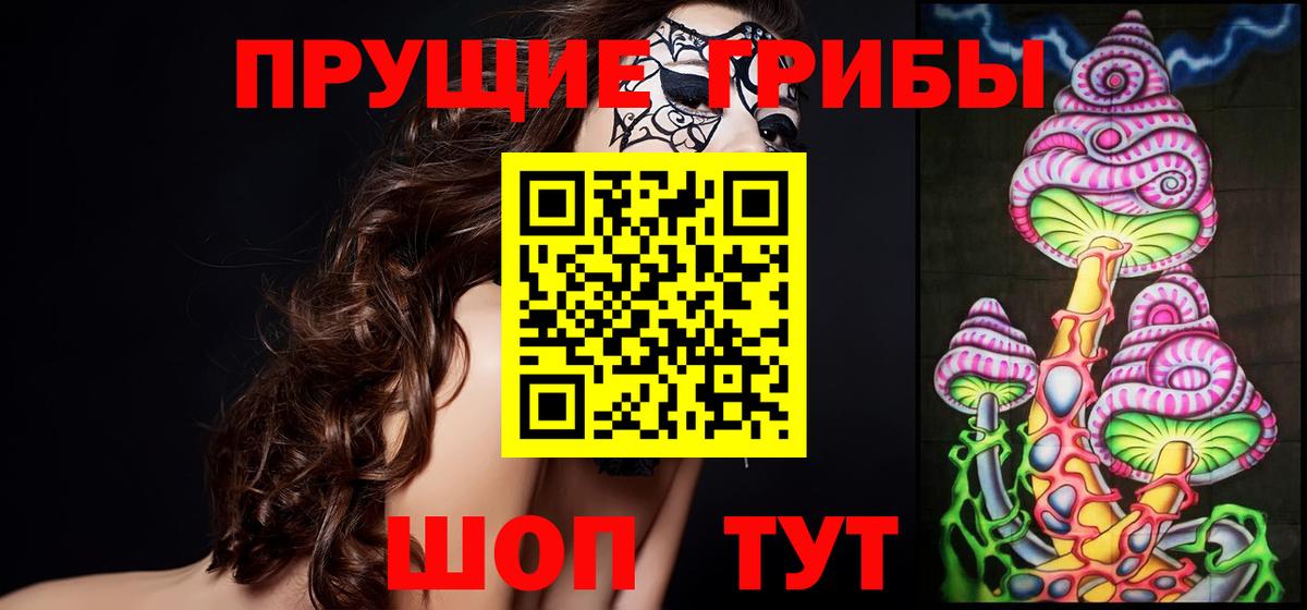 что такое   Вход с VPN  Соликамск  Псилоцибиновые грибы Psilocybe 