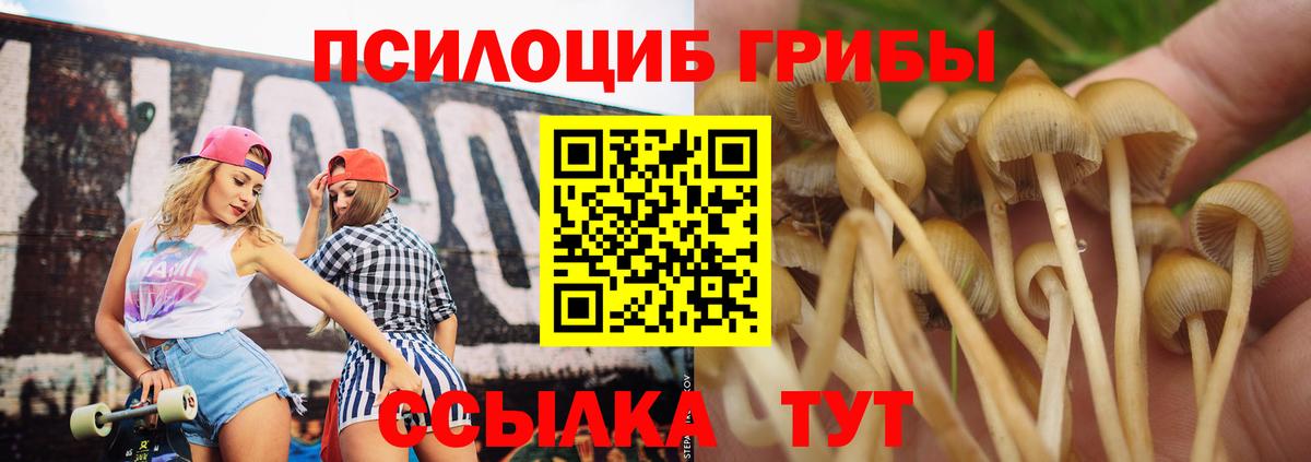 Галлюциногенные грибы мухоморы Соликамск